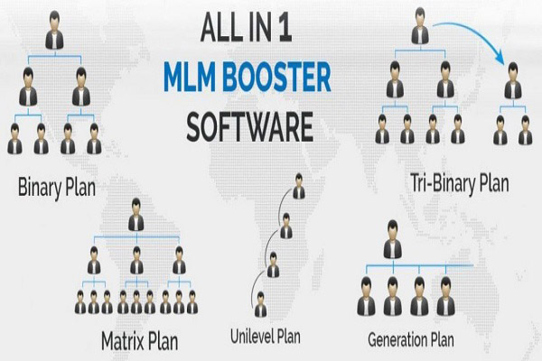 MLM Software  Development
