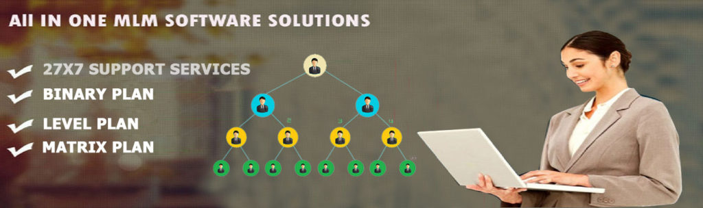 How Many Types of Binary MLM Plan Exists in Networking