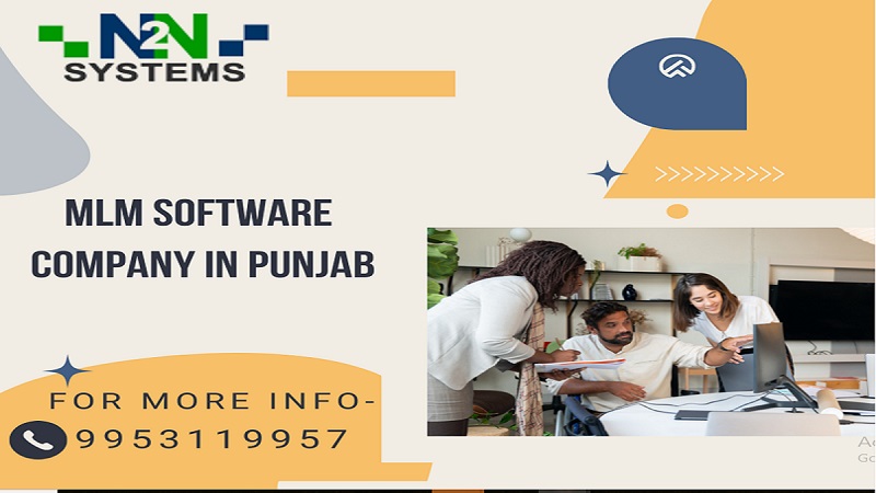 MLM Software Company in Punjab